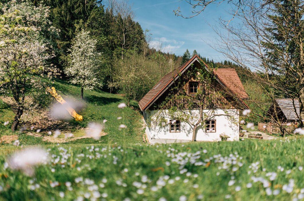 Wooden chalet nestled in a lush green meadow, surrounded by blooming trees and a picturesque countryside landscape. | © Urlaub am Bauernhof / Daniel Gollner